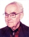 Ladislav Vik